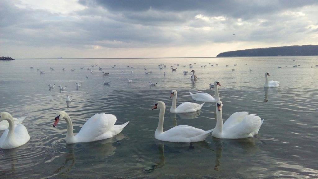 Национален конкурс "Водата извор на живот" - фотография - ОУ Иван Сергеевич Тургенев - Разград